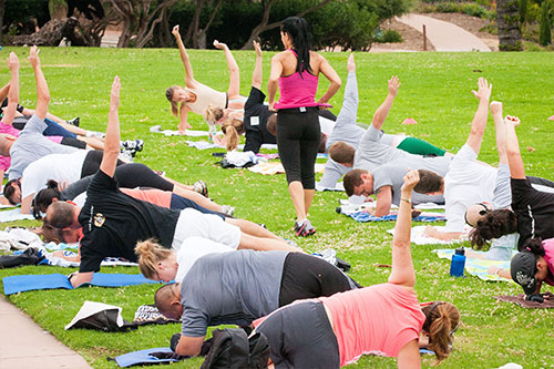 About Workday Warriors wellness program